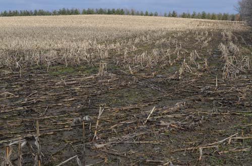 Property photo 2 - 98+/- Acres Offered in 6 Tracts or Combinations, Noble County, Indiana Farm